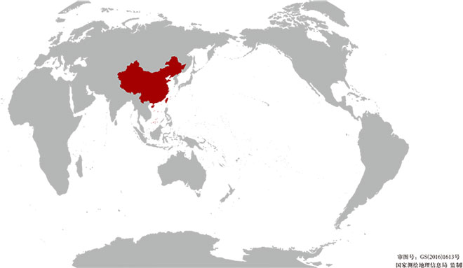 国外营销